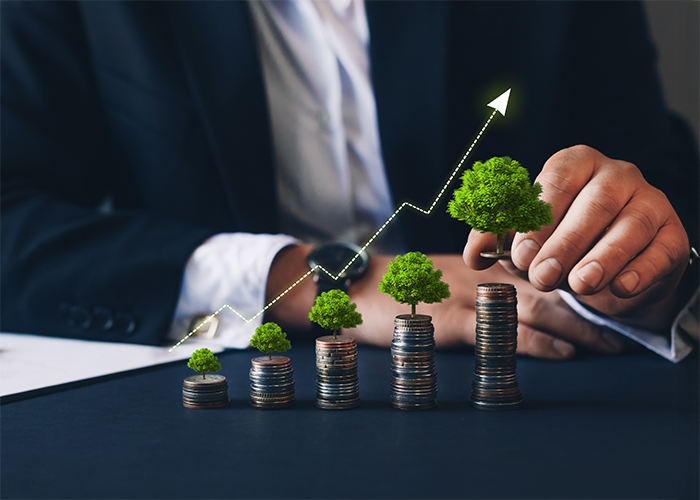 Bachelor of Business Administration with Concentration in Finance and Accounting